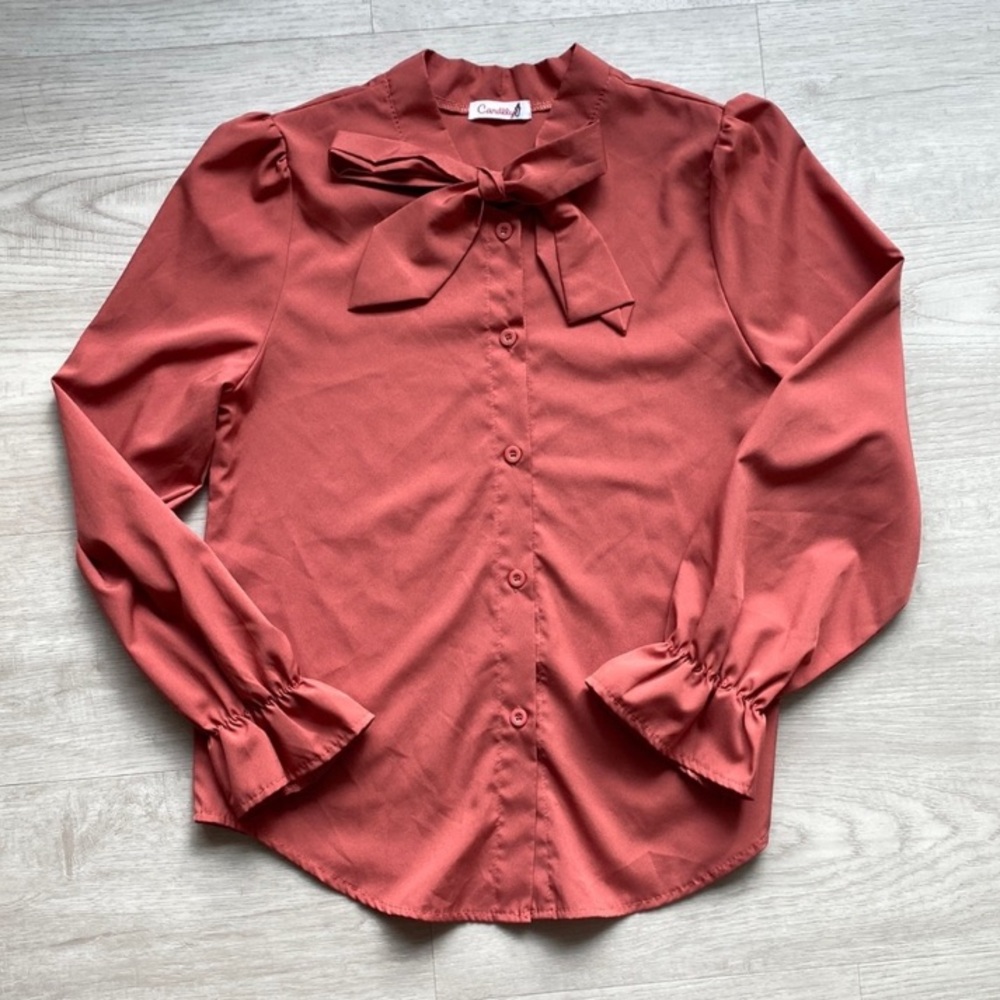 Gorgeous Salmon/Coral Blouse with High Neck Bow